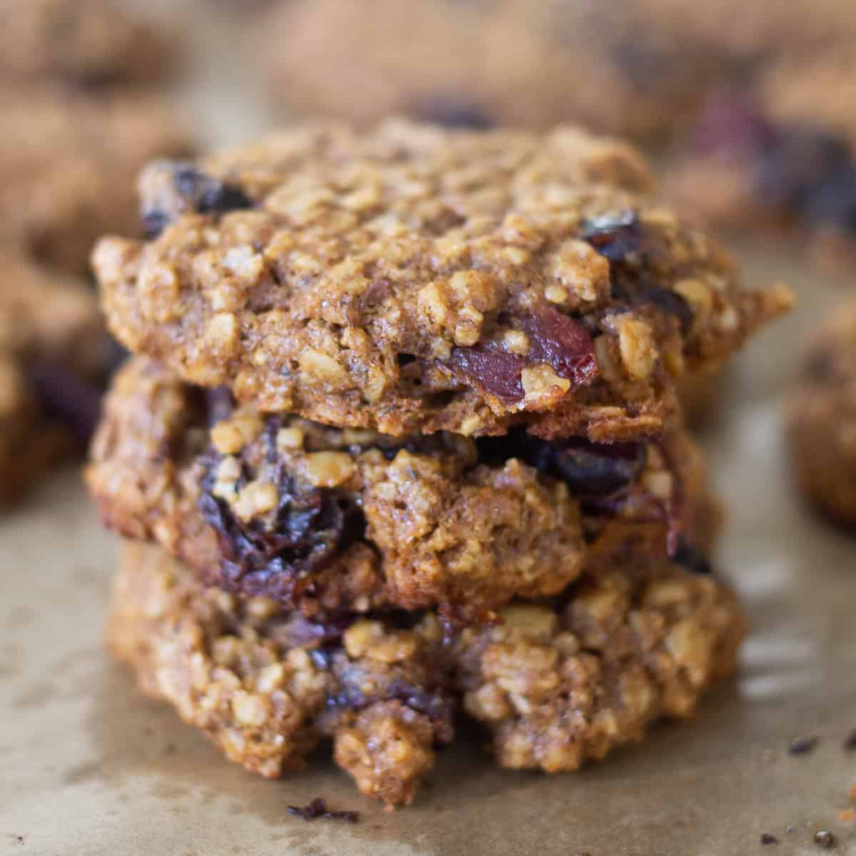 Naturally GlutenFree Oatmeal Lactation Cookies Edible Times