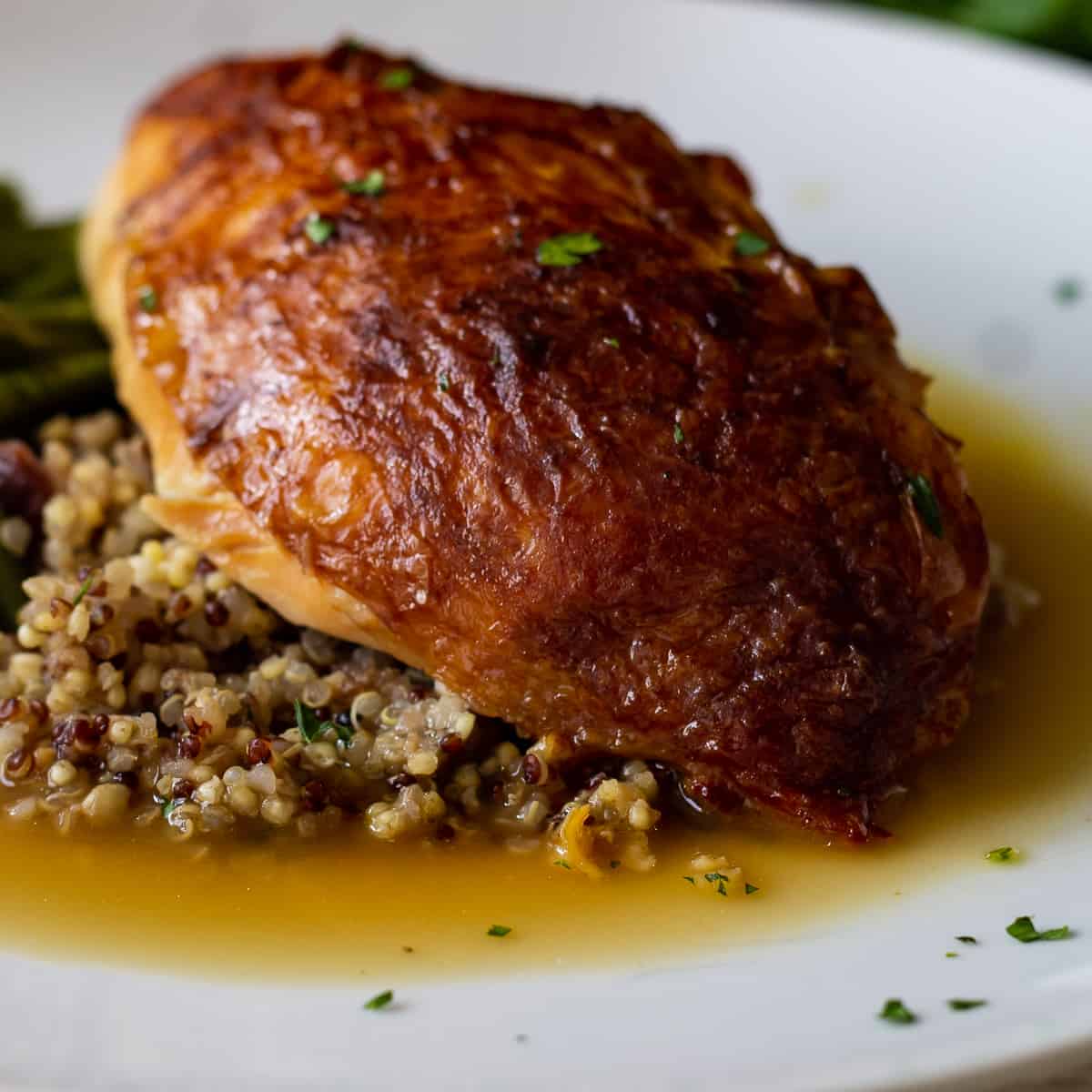A roasted chicken breast over a pile of quinoa and pooling chicken jus.