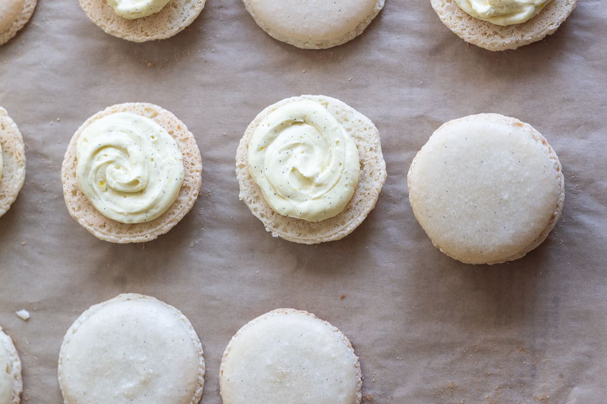 Heavenly Vanilla Bean French Macarons [Versatile Recipe] | Edible Times